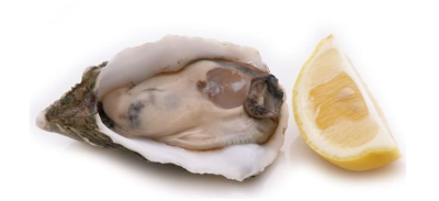 Westmark нож за отваряне на Стриди Oyster