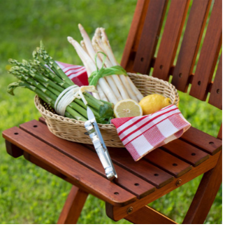 Westmark белачка за Аспержи